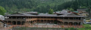 Read more about the article Naggar Castle – History and Architecture