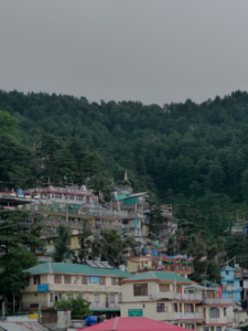 Read more about the article Discovering McLeod Ganj: Secrets of Tibetan Culture